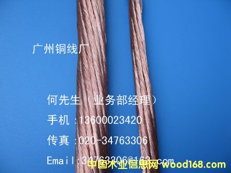 �����~�ؾ�13600023420�D