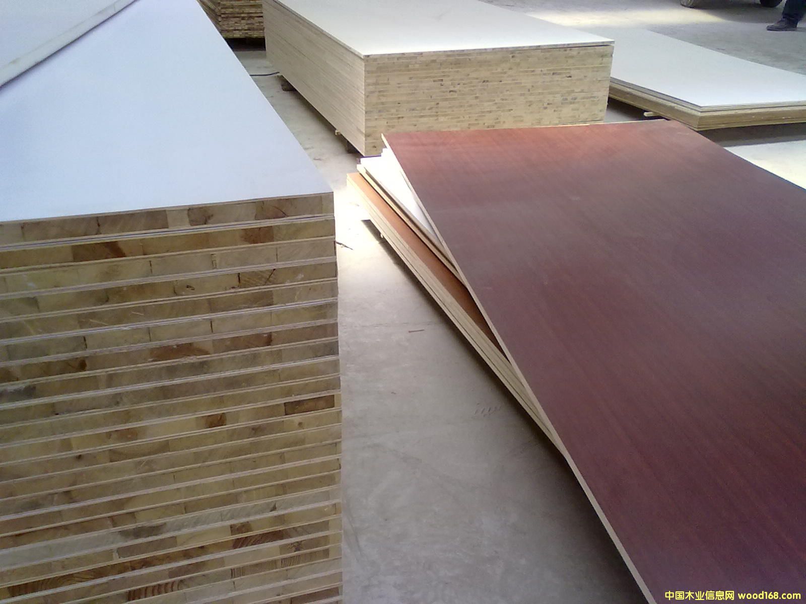 �����谷�N�漚ľ����