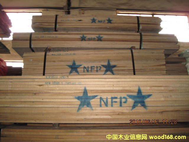 ����(y��ng) �����S�� Yellow Poplar ľ��� 