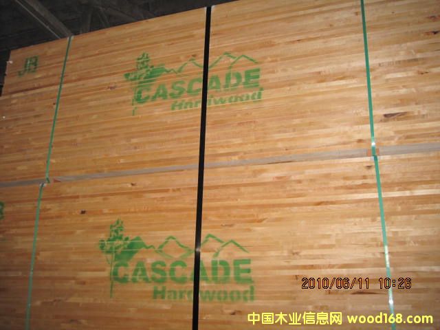 �����������Pľ �� (����ALDER) ľ��� 