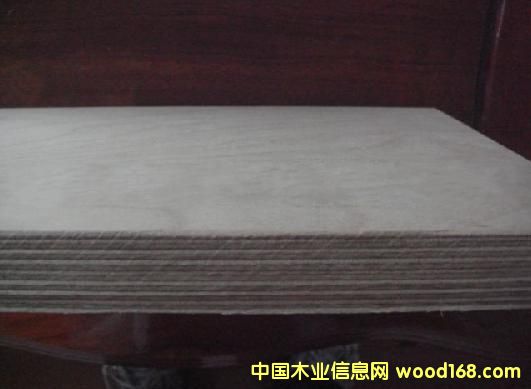 ȫ��ľ�z�ϰ� ��Ԕ����B