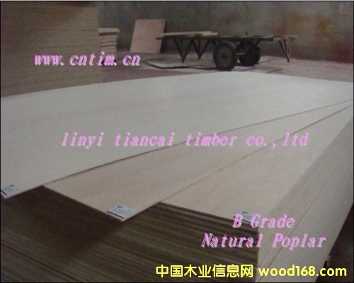 ��ľԭɫ���Ӱ�