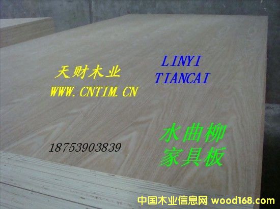 ˮ�����N���