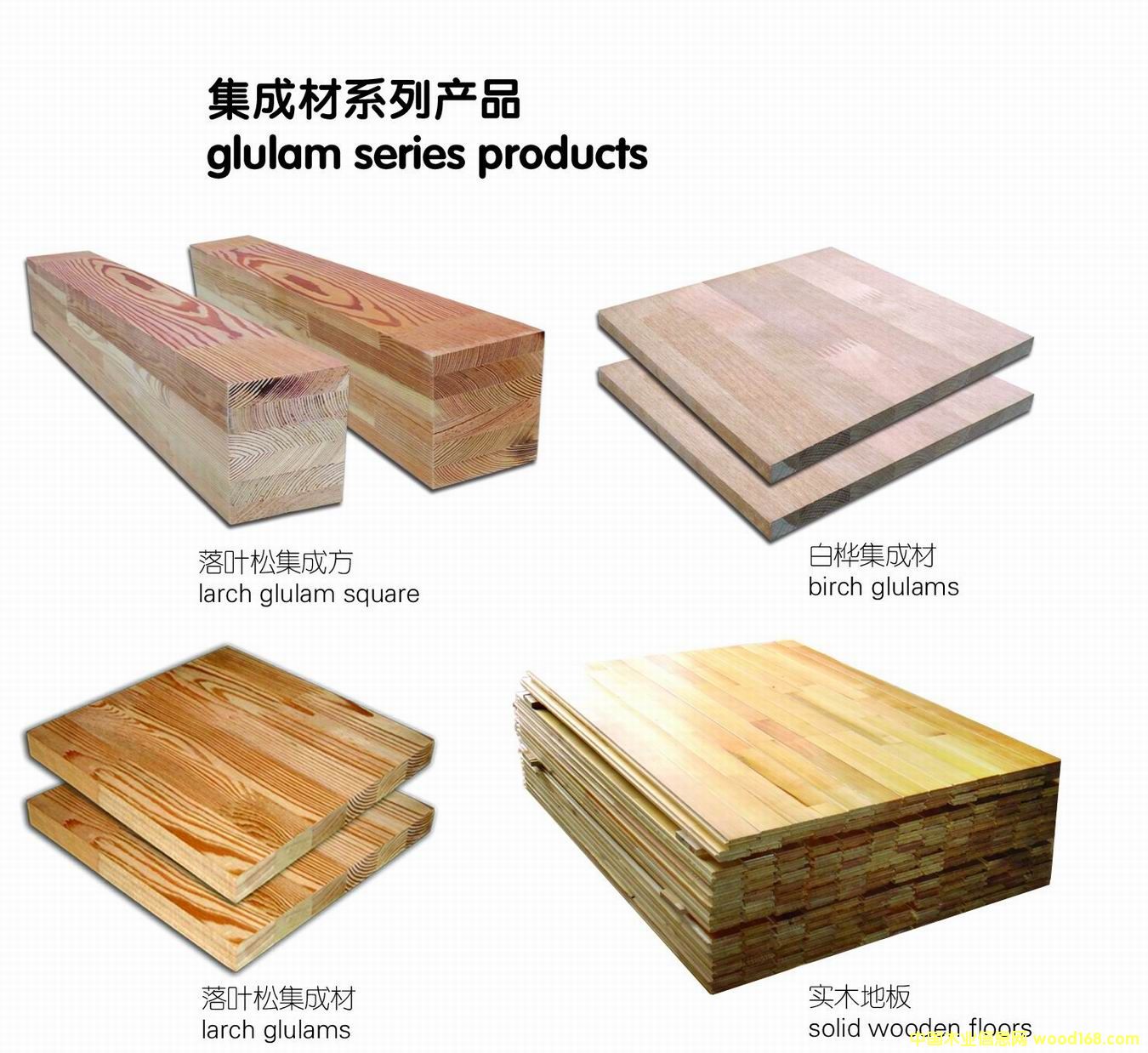 ���ɲ�ϵ�ЮaƷ