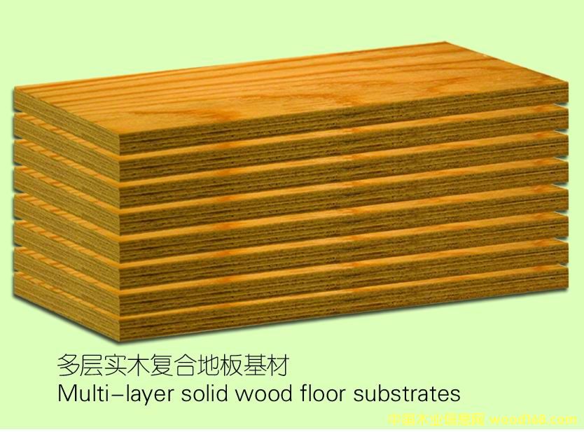 ���ӌ�ľ��ĵ�Ԕ����B