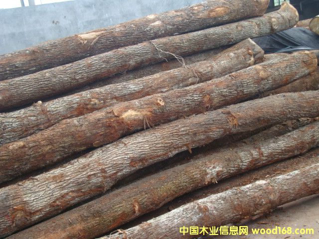 �c���鿴�W��ԭľ�Ŵ�DƬ