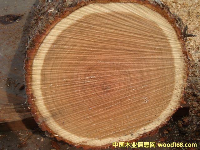 �c���鿴�W��ԭľ2�Ŵ�DƬ