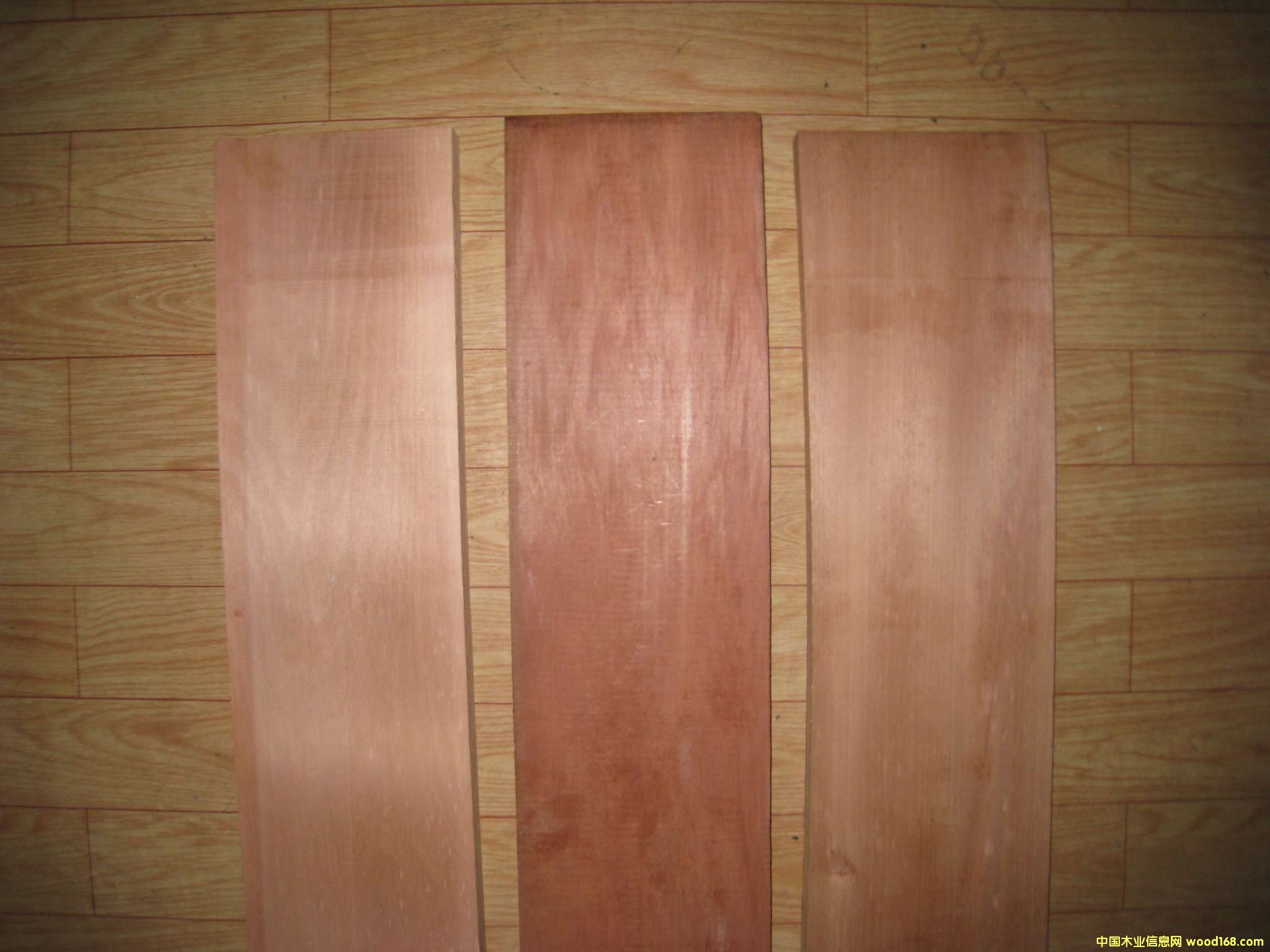 ������ľ�ذ����ϵ�Ԕ��(x��)��B