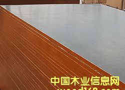 �M��̫��Ĥ�z�ϰ�