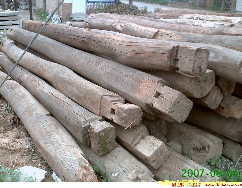 ��ľ����