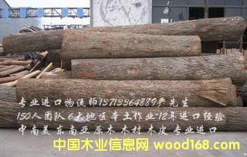 ľ���M���Q�״���