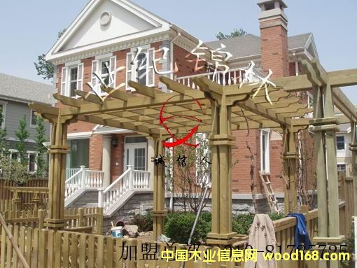 ����ľ����