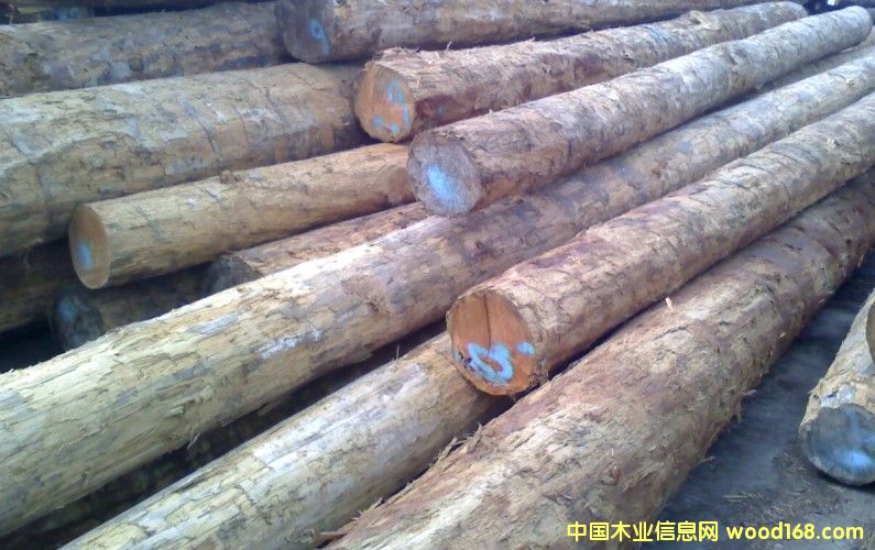 ���ô��|������ԭľ