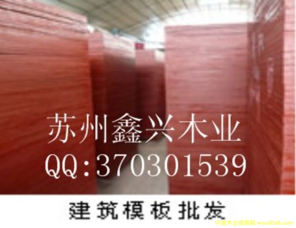 ����ģ�����l