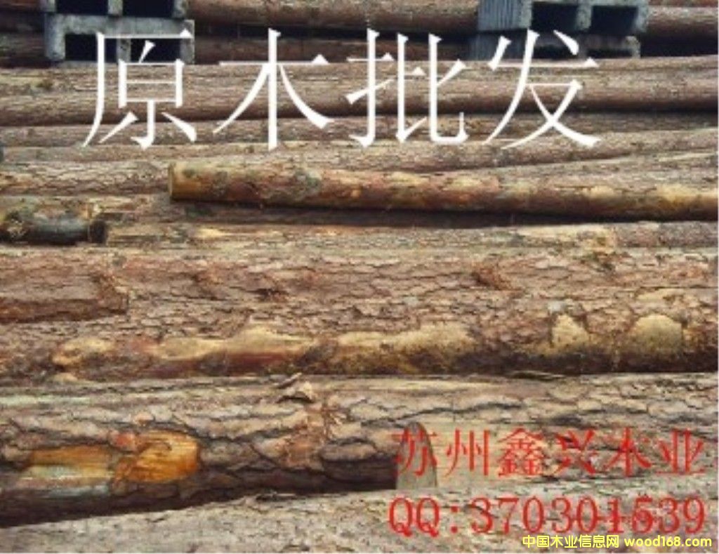 ԭľ���l(f��)