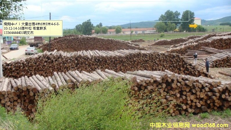 �������~�ɗU��Ԕ����B