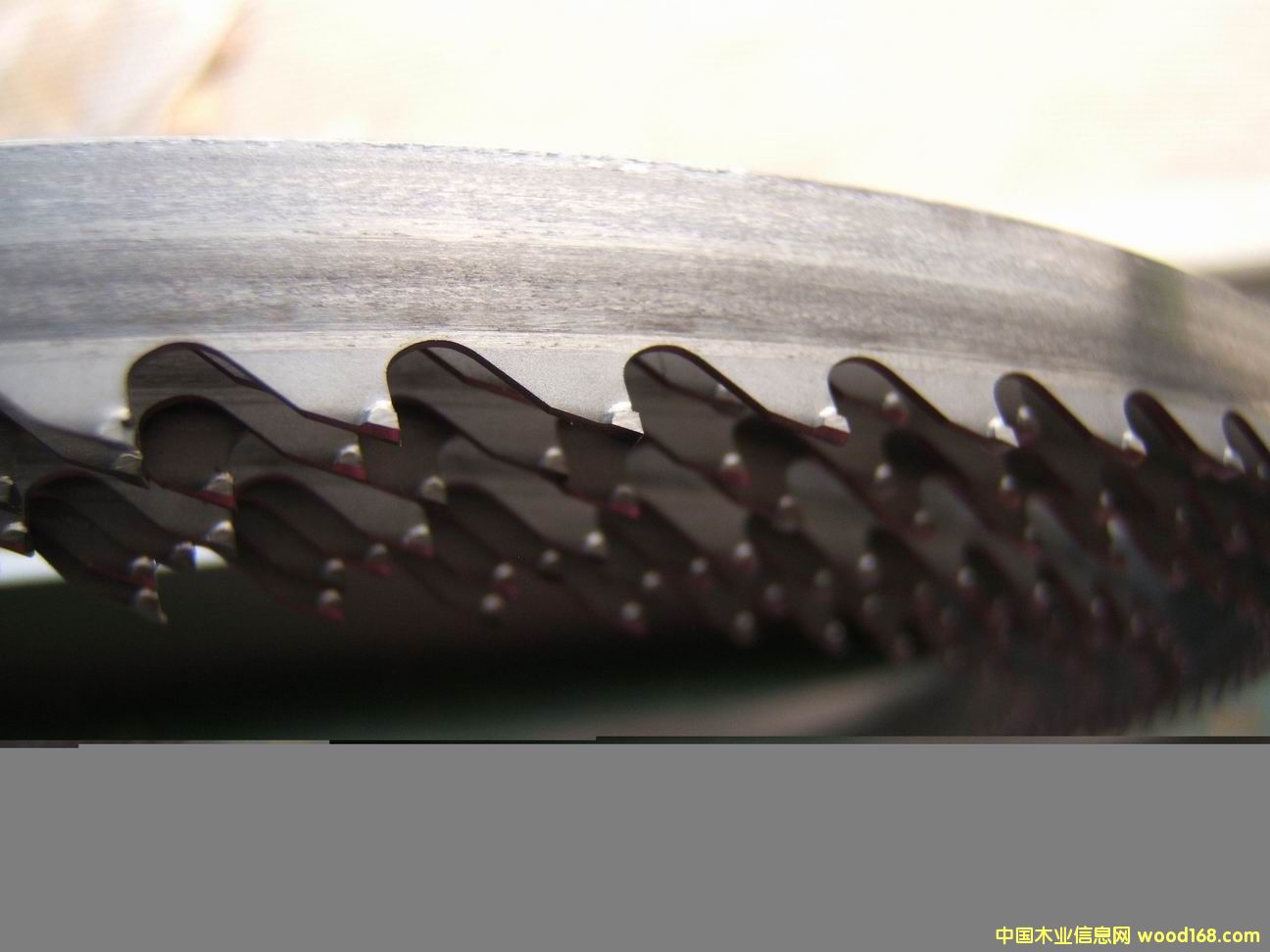 Ӳ�|�Ͻ�ľ�����