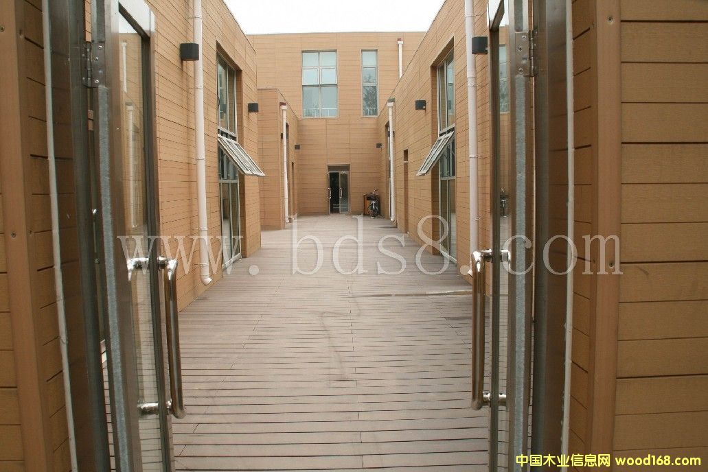 ����ʢ���B�h��ľ