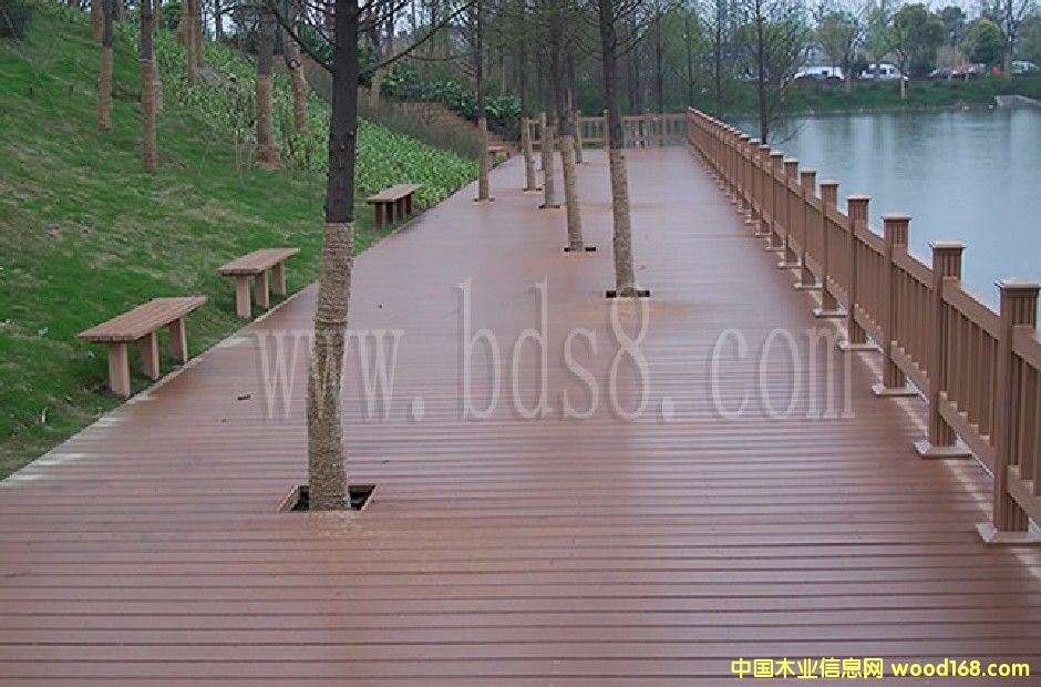 ����ʢ���B�h��ľ