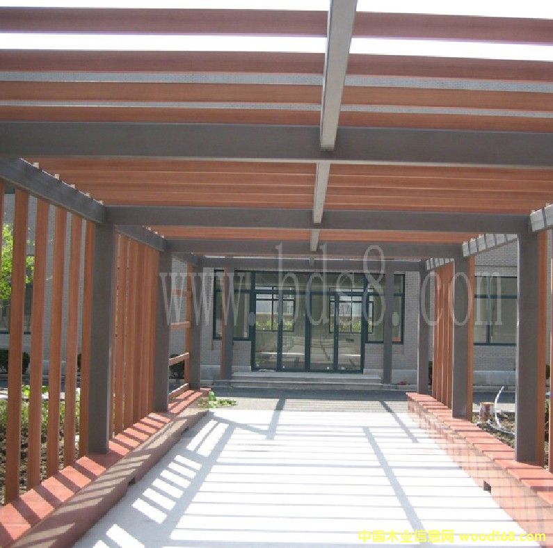 ����ʢ���B�h��ľ