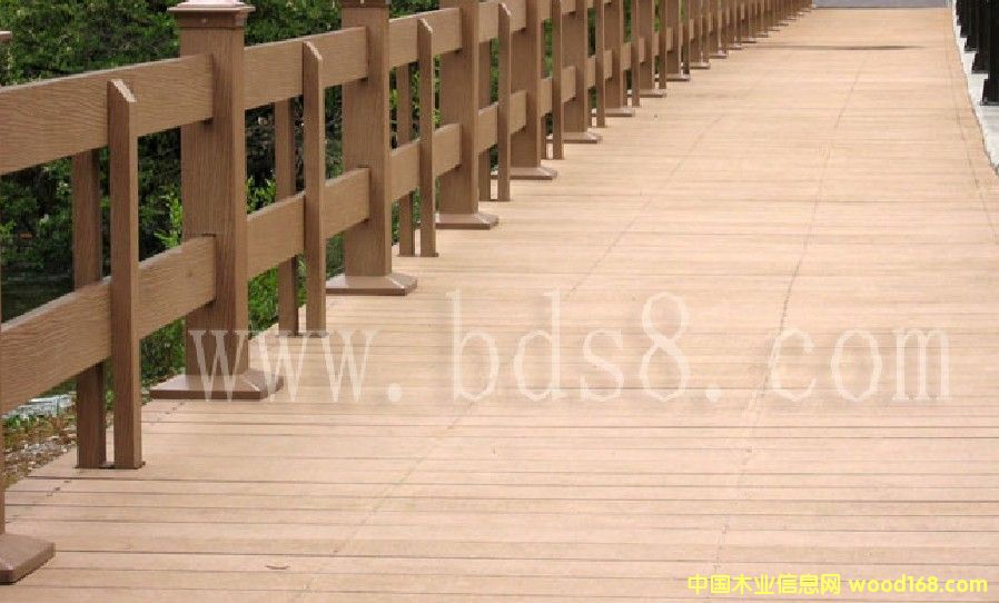 ����ʢ���B�h��ľ