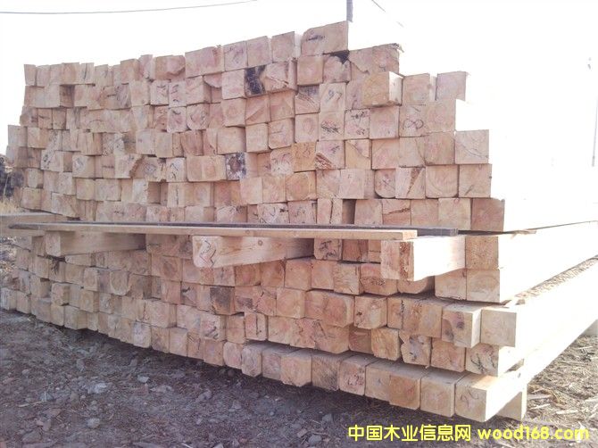 �����ɷ�ľ