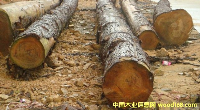 ԭľ��Ԕ��(x��)��B