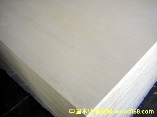 ȫ��ľ�z�ϰ��Ԕ����B