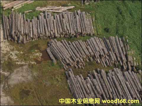 ľ��5��Ԕ����B