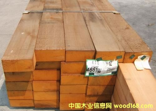 ���� �tѩ��