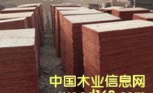 ���xɼľ�а�