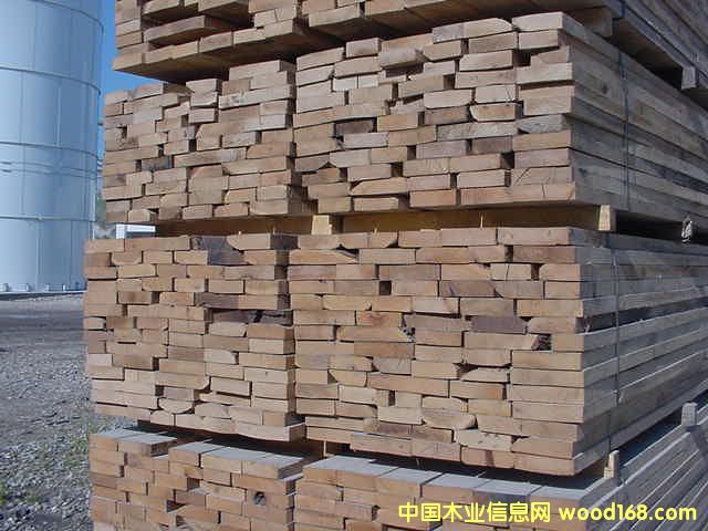 �����t���Ԕ��(x��)��B