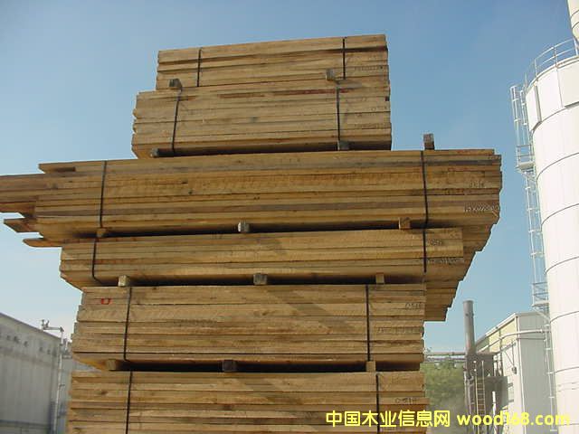 �����t��