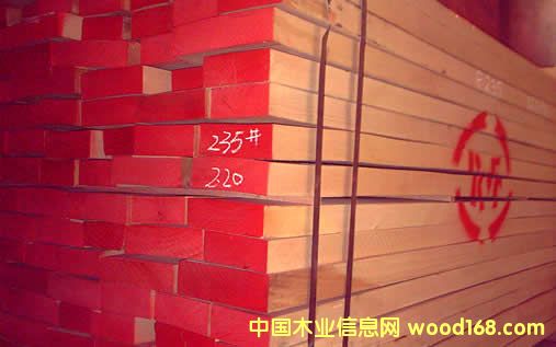 �_�R�၆�t��