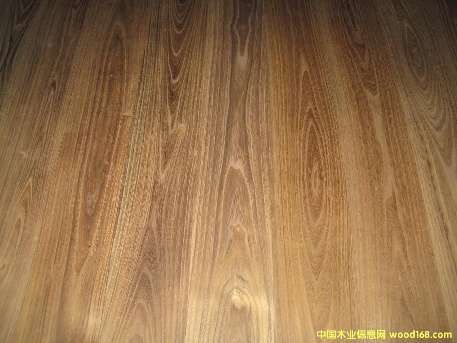 ��ľ�ذ壬������ľ��Ԕ����B