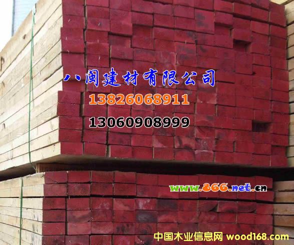 ����-���׷�ľ��Ԕ����B