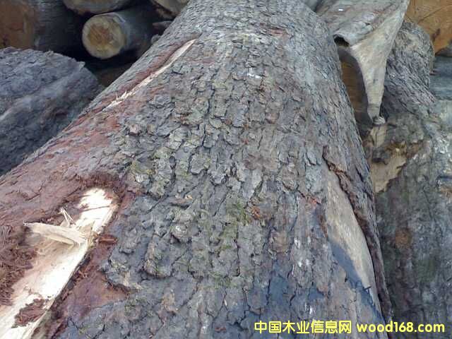 �����Ԕ����B