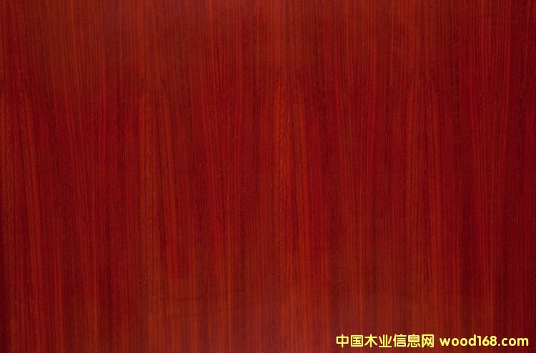 �t��֦��Ԕ����B