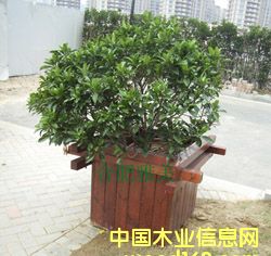 ���@����