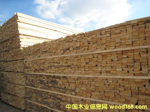 ��ľľ����Ԕ����B