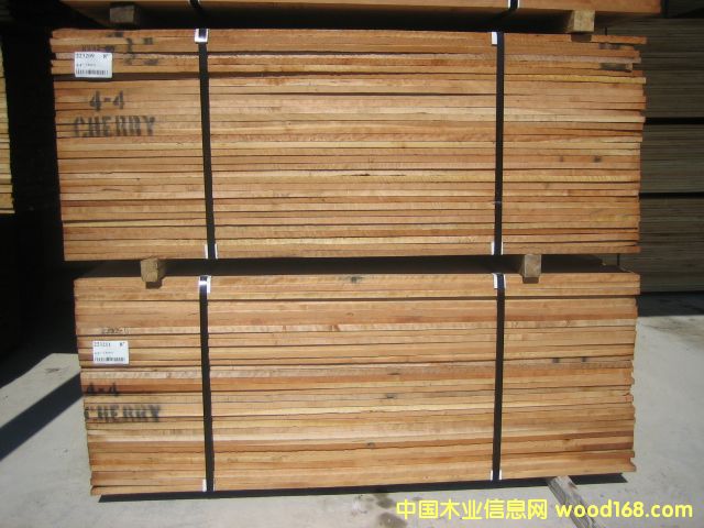 ������ľ��Ԕ����B