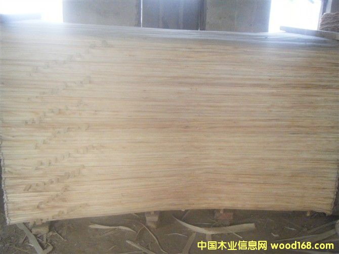 ��ľ��Ƥ��Ԕ����B