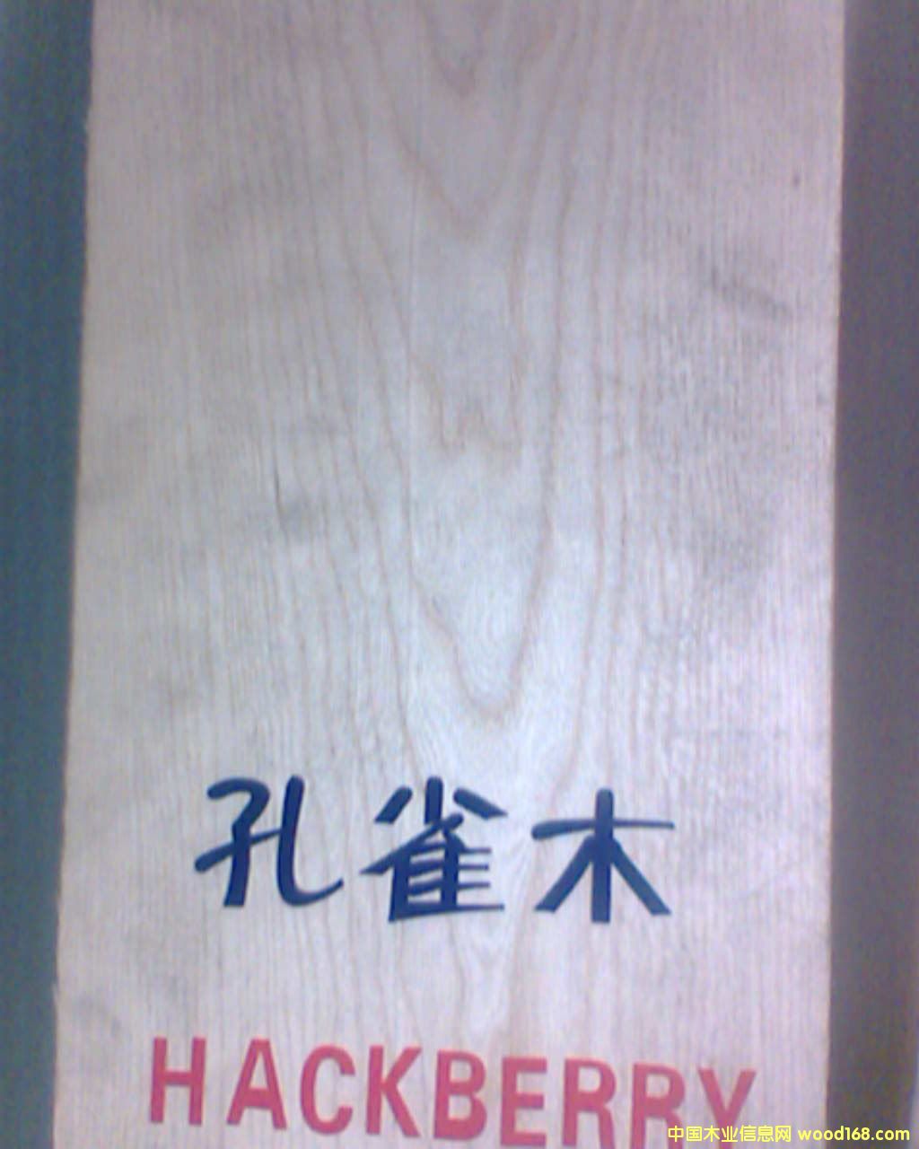 ������ȸľ������ľ��