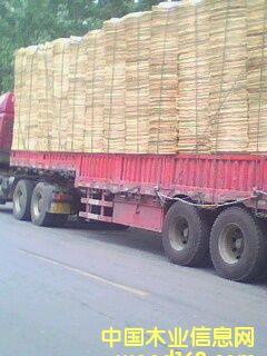 �ΰ�/��Ƥ��Ԕ����B