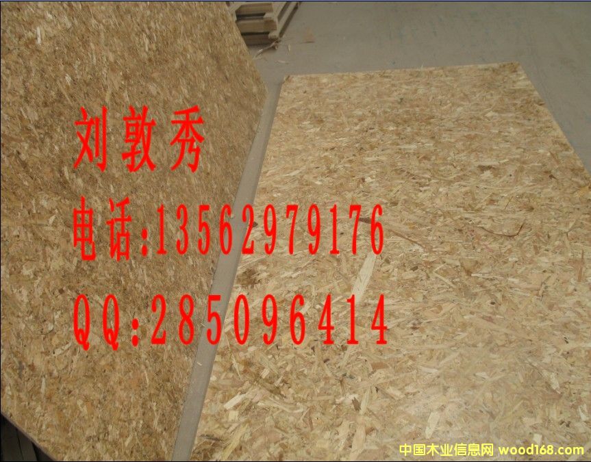 �R����ؔľ�I���I���aOSB�����ٻ���13562979176��Ԕ����B