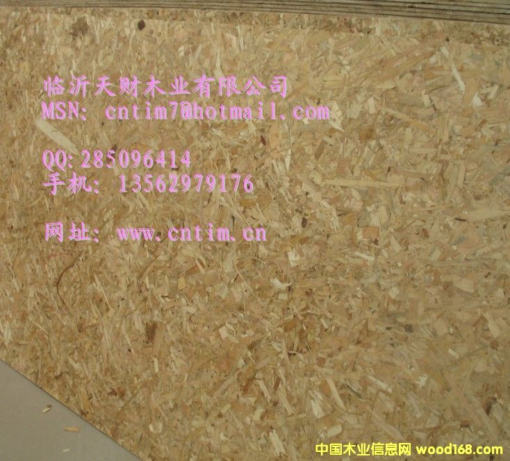 OSB�� �aƷ���ȸ� �|������13562979176��Ԕ����B