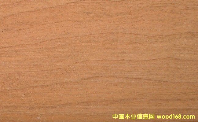 ����ľCH��Ԕ����B