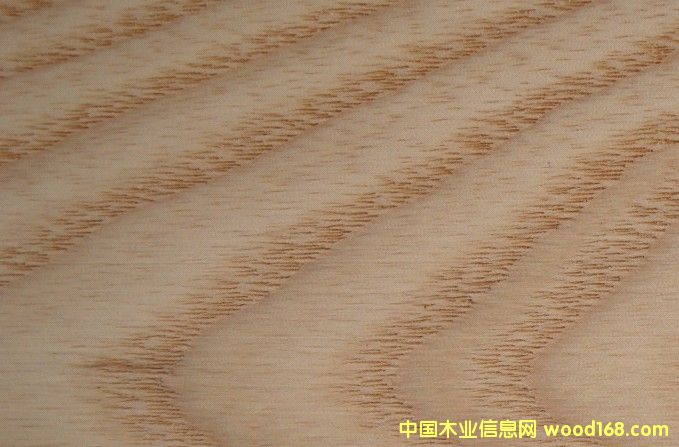 �זzľASH��Ԕ����B