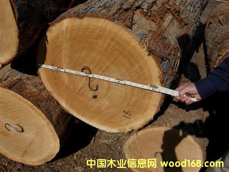 �����t���ĵ�Ԕ����B