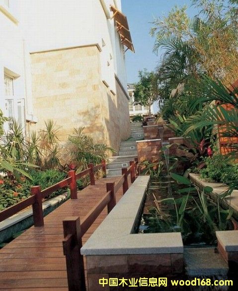 ����ʢ���B�h��ľ